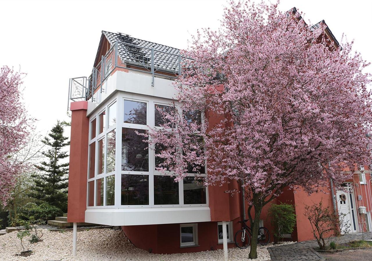 Gaestehaus Kirschgarten Боденгайм Екстер'єр фото