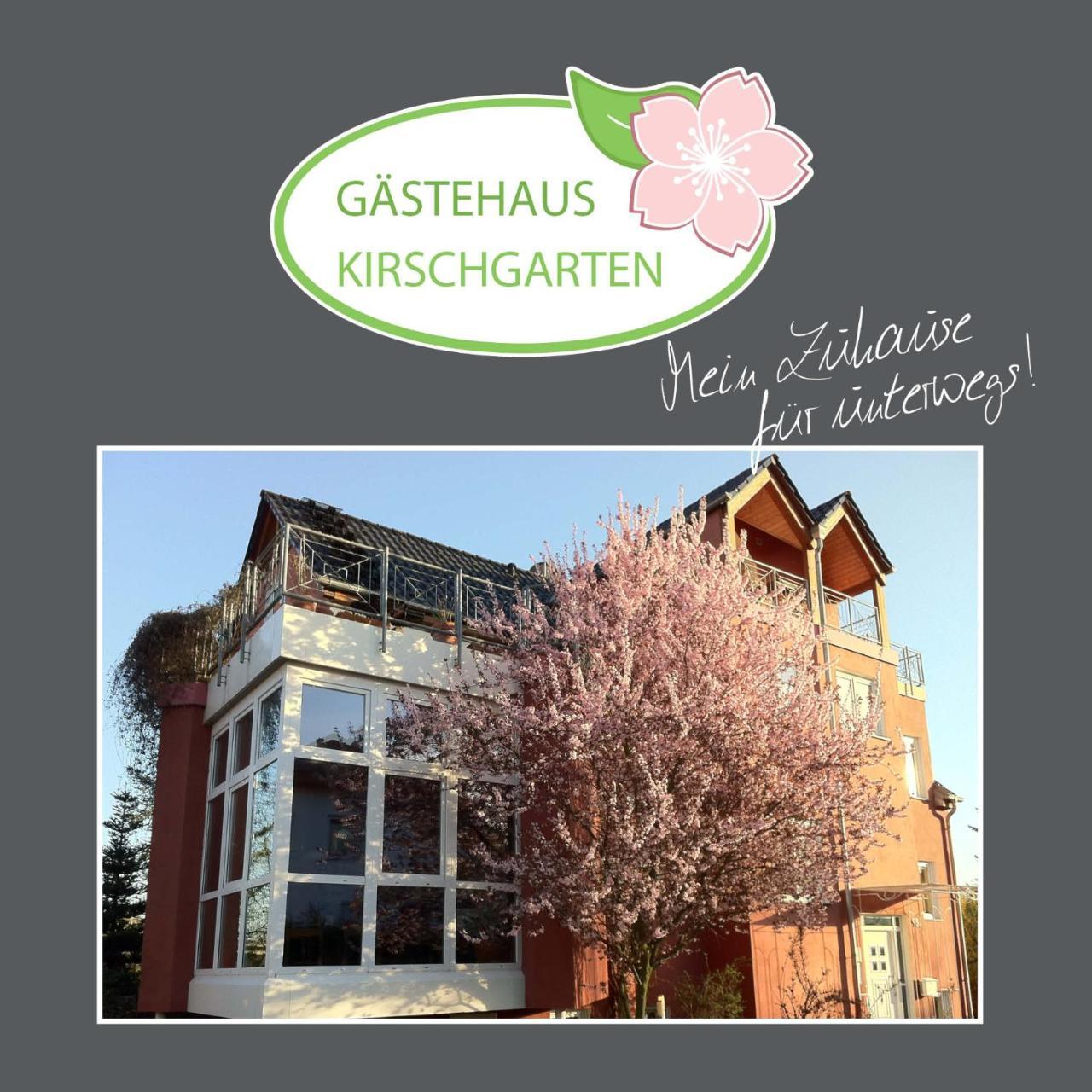 Gaestehaus Kirschgarten Боденгайм Екстер'єр фото